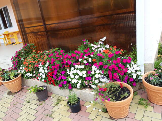 Гостиница Рафаэль Пляхо-19